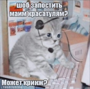 Create meme: memes with cats, cat, memes cat