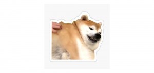 Create meme: shiba inu, Shiba inu evil, Shiba inu Akita inu