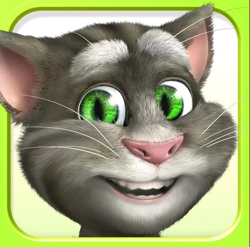 Создать мем: кот том, говорящий кот том, talking tom cat