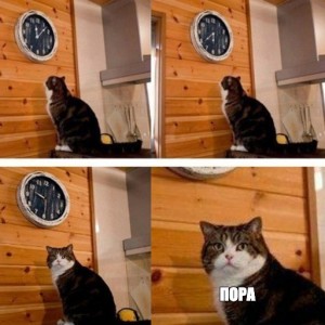 Создать мем: мемы с котами, мем кот и часы, мем с котом и часами пора
