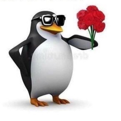 Create meme: penguin bow, Hello this meme penguin, the penguin meme