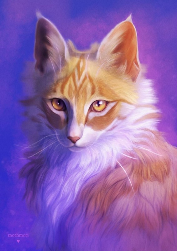 Create meme: warrior cats, beautiful cat art, red cat art