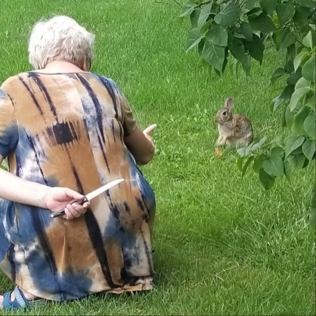 Create meme: rabbit meme, grandmother with a knife and a rabbit, cat 