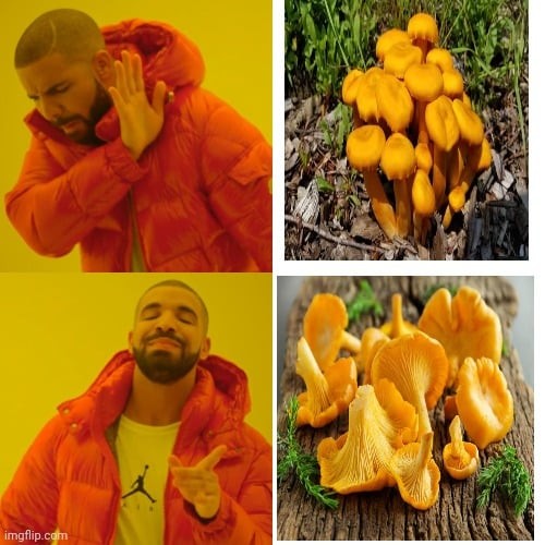 Create meme: the Negro in the orange jacket, meme with Drake, memes 