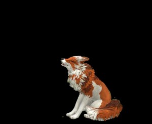 Create meme: wildcraft Fox, Dog, dog