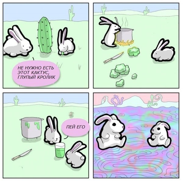 Create meme: Don't eat the cactus stupid rabbit, rabbit with cactus, Rabbit comics
