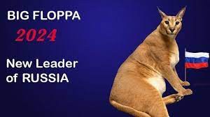 Создать мем: кошка, шлёпа каракал, каракал