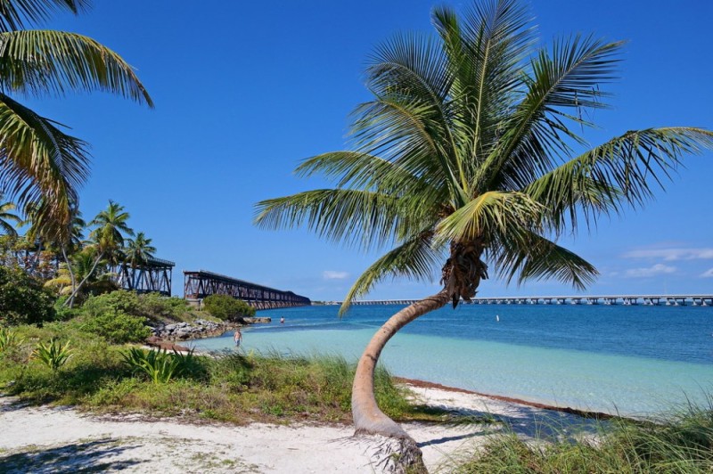 Create meme: sea palm trees beach, the beach with palm trees, sea palms