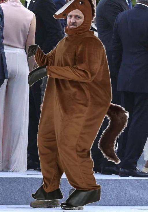 Create meme: bear costume, costume , the bear naumych costume