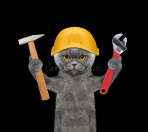 Create meme: cat with a gun, cat Builder