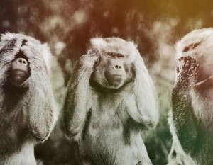 Create meme: animals, baboon, monkey