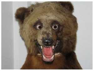Создать мем: Бухой медведь
