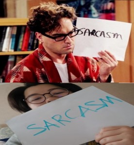 Create meme: sarcasm the big Bang theory, sarcasm, Leonard sarcasm