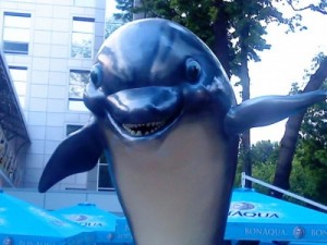 Create meme: nemo, dolphinariums in, Kharkov Dolphinarium