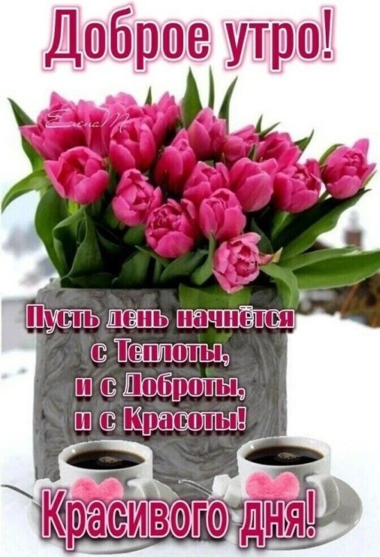 Create meme: good morning flowers, new day good morning, good morning greeting cards