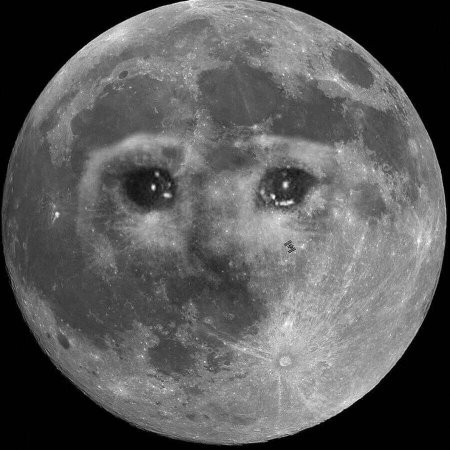 Создать мем: затмение луны, moon, большая луна