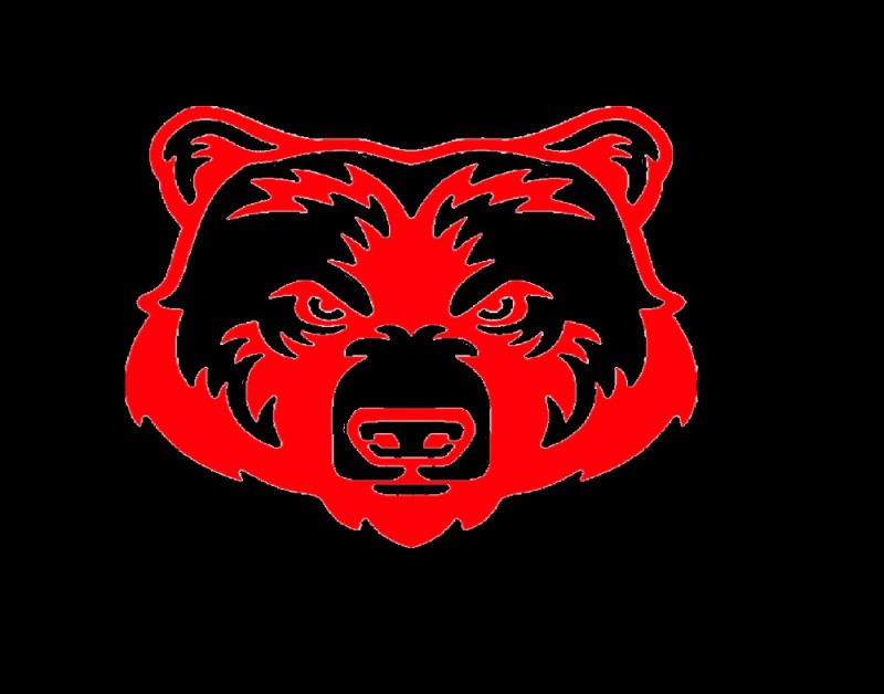 Create meme: bear logo, the muzzle of the bear, bear sticker on the car