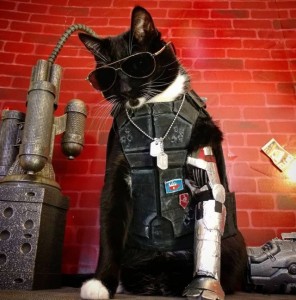 Создать мем: кошка киберпанк, косплей киану, котик киберпанк
