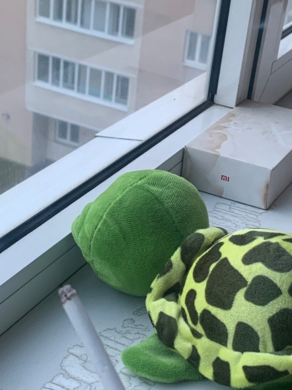 Create meme: soft toy turtle, plush turtle, soft toy turtle