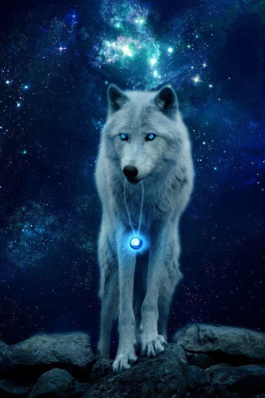 Create meme: wolf on the background of the cosmos, blue wolf, The wolf 🐺