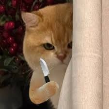 Создать мем: котик с ножом, cat, котик