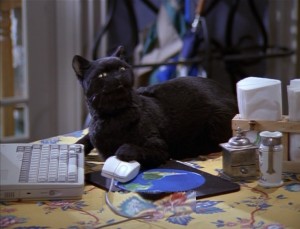 Featured image of post Salem Saberhagen Meme Salem is an american shorthair cat who lives with sabrina spellman