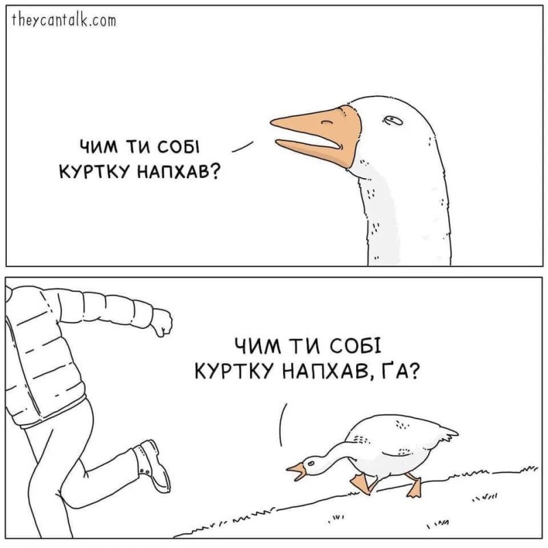 Create meme: goose , memes goose down jacket, meme goose 