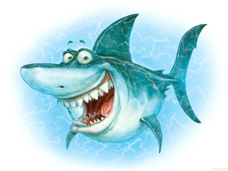 Create meme: shark , funny shark, shark funny drawing