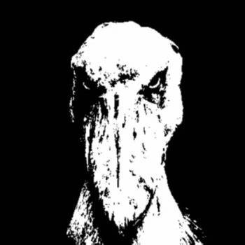 Create meme: avatars for VC, dark , skull on a black background