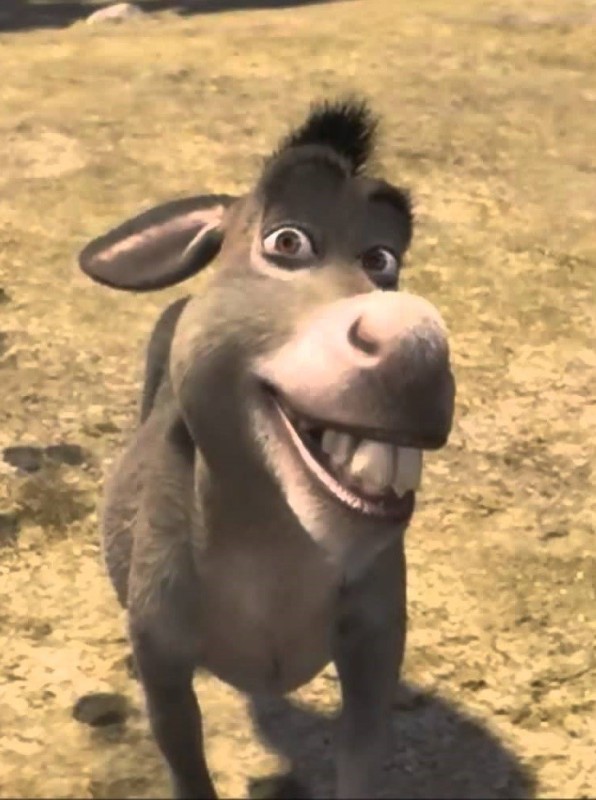 Create meme: Shrek , smile donkey from Shrek, donkey shrek