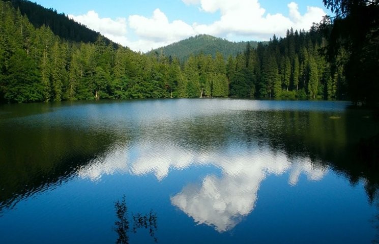 Create meme: lake Synevyr, mobile Russian fishing, lake Synevyr in the Carpathian mountains