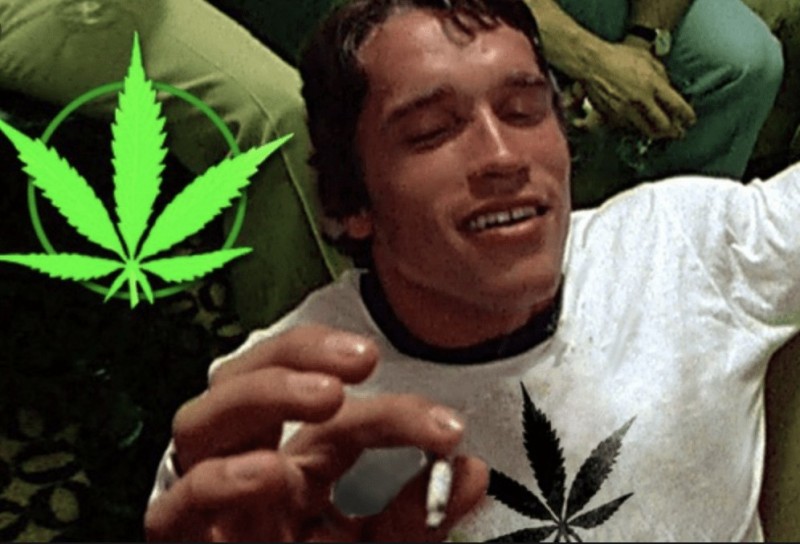 Создать мем: арнольд шварценеггер марихуана, окт, курить марихуану