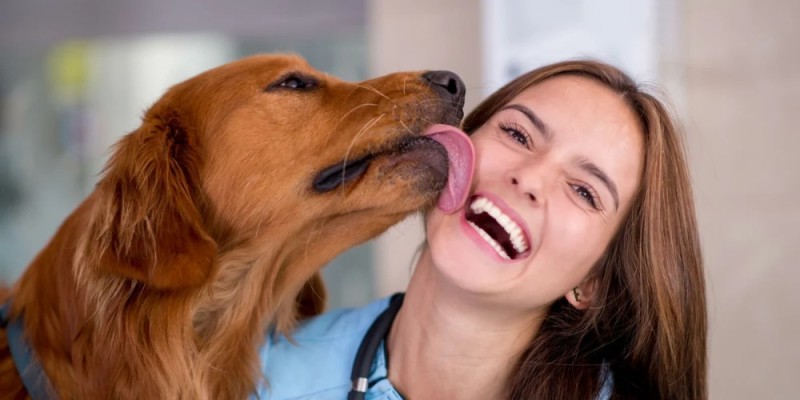 Create meme: dog licks man, dog licks, dog veterinarian