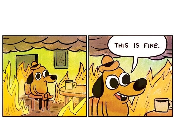 Create meme: dog in the burning house, this is fine meme, meme dog in a burning house