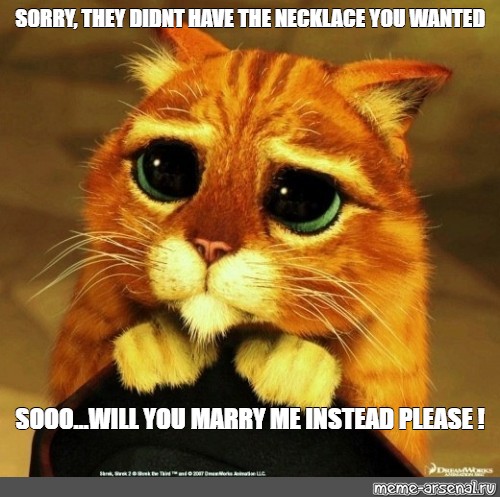 Meme Sorry They Didnt Have The Necklace You Wanted Sooo Will You Marry Me Instead Please All Templates Meme Arsenal Com