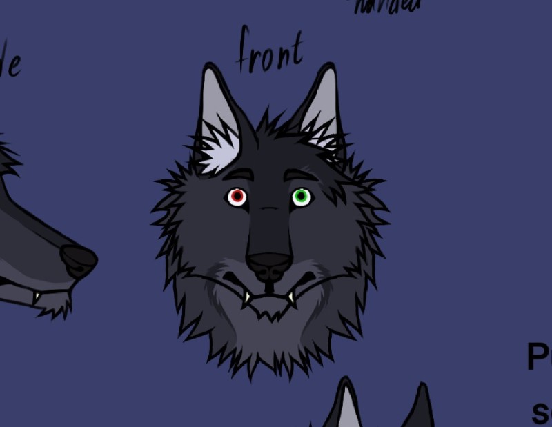 Create meme: gray wolf , anime , wolf 