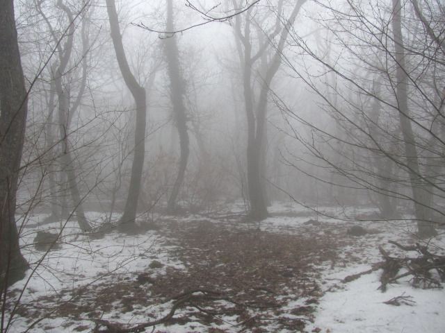 Создать мем: природа, лес снег, туман