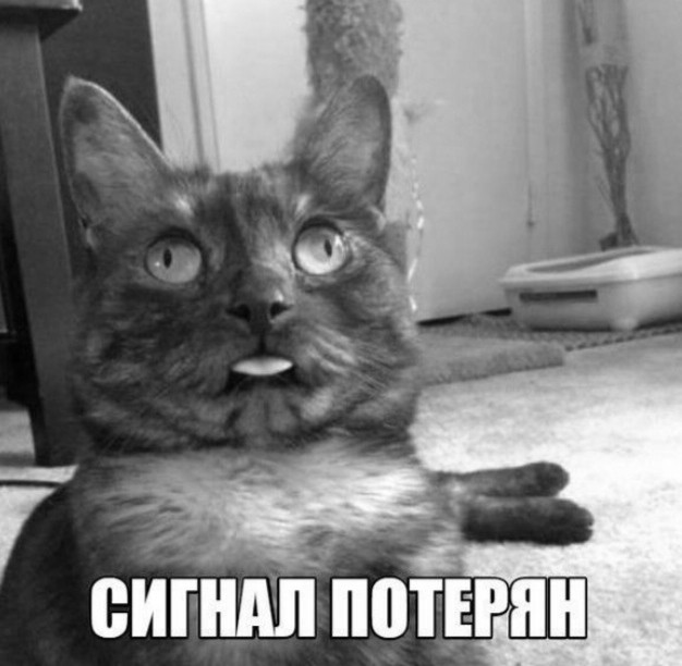 Create meme: meme cat , signal lost cat, signal lost cat meme