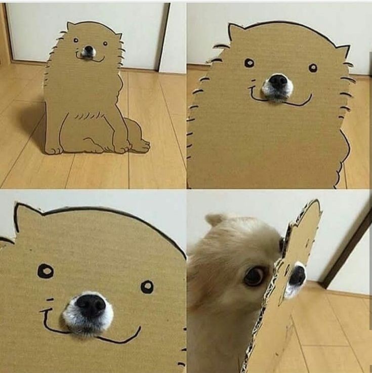 Create meme: cardboard dog, cardboard dog, cardboard dog