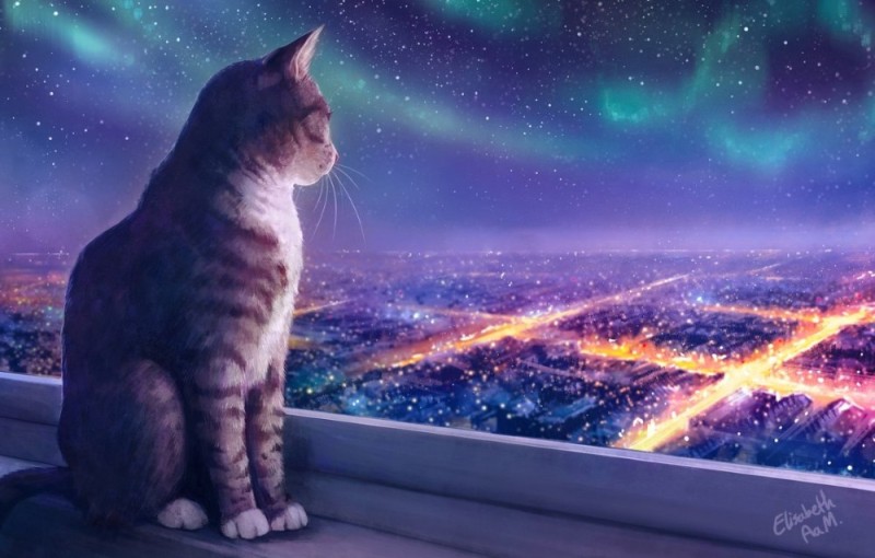 Create meme: star cat, cat in space, a cat in space