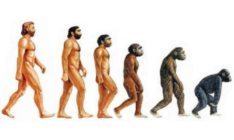 Создать мем: теория дарвина о происхождении человека от обезьян, альтернативная эволюция человека, этапы эволюции человека,хомо сапиенс