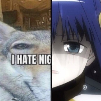 Create meme: cat anime meme, blanks for anime memes, anime characters