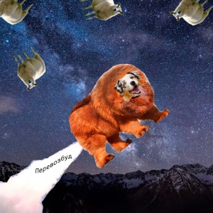 Создать мем: порода тибетский мастиф, doge в космосе, тигр в космосе