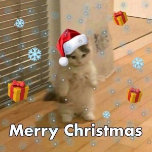 Создать мем: веселого рождества, merry christmas, мем с новым годом