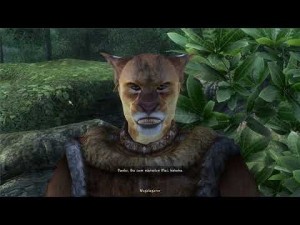 Create meme: the Khajiit, elder scrolls oblivion