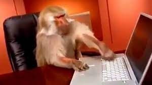 Создать мем: обезьяна за пк, обезьяна за ноутбуком, обезьяна за компьютером мем
