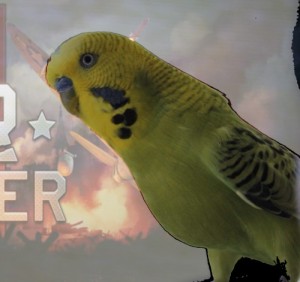Create meme: Parrot war thunder