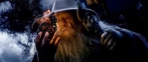 Create meme: Gandalf on the pine