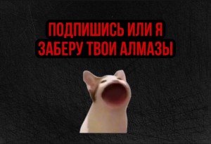 Create meme: memes, meme cat, screenshot