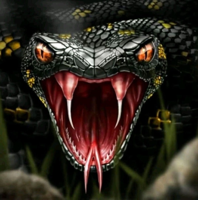 Create meme: mouth of a snake, the Cobra snake, The evil cobra